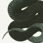 Featured image for Is TypeScript Better Than Python 9 Expert Insights 2025